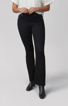 Lola Jeans Billie High Rise Bootcut Jeans in Black at Nordstrom, Size 27