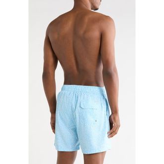 Vintage Summer Swimwear Shell Print 4 Way Stretch Volley Swim Trunks in Blue at Nordstrom Rack, Size Xx-Large