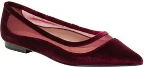 Linea Paolo Novah Pointed Toe Flat in Burgundy at Nordstrom Rack, Size 5