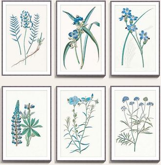 Ballard Designs Botanical Sapphire Art - Print III, 32 x 22 - Ballard Designs