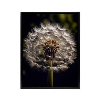 Artery8 Dandelion Flower Pappus Macro Framed Canvas Wall Art Print | Size: W24 x H32