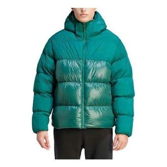 adidas originals Adicolor Down Regen Hooded Puffer Jacket Green IL2566