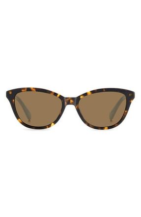 Kate Spade New York Tayla 55mm Sunglasses in Havana/Bronze at Nordstrom