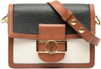 Louis Vuitton Pre-owned Cross Body Bags, female, Multicolor, Size: ONE SIZE Pre-owned Leather louis-vuitton-bags