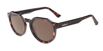 Colcci Unu C0294F2102 Mens Sunglasses Tortoiseshell Size 51