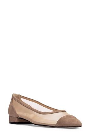 Jon Josef Ray Pointed Toe Flat in Haze Suede Combo at Nordstrom, Size 5