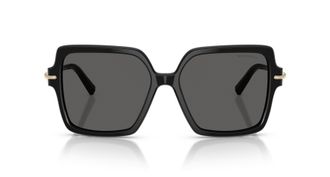 Tiffany & Co. 0tf4260u Oversized Square Black Sunglasses