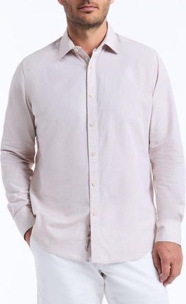 Robert Graham Avondale Cotton Button-Up Shirt in Sand at Nordstrom, Size Xxx-Large