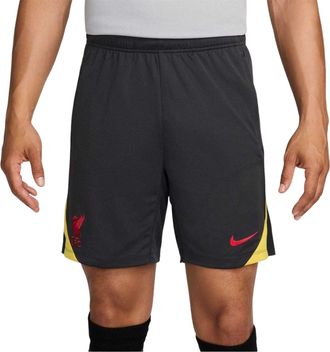 Nike Unisex voetbalshort voor volwassenen van Liverpool FC (Grijs)