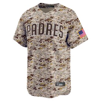 Nike Fernando Tatis Jr. San Diego Padres Nike Mens Dri-FIT MLB Limited Jersey in Brown | LM25PYA2UPP-WU6