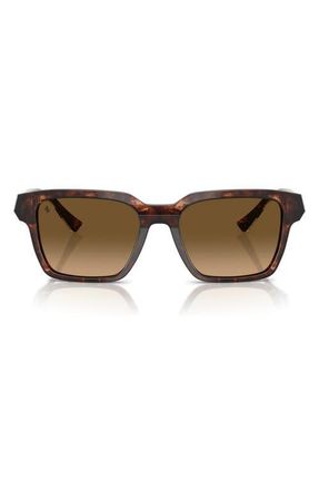 Ferrari 55mm Polarized Square Sunglasses in Caramel Havana /Brown at Nordstrom