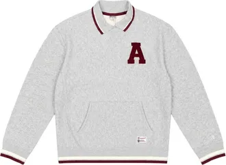 Champion Hoodies & sweatvesten, Heren, Grijs, L, Zip-throughs