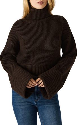 Steve Madden Adelade Turtleneck Sweater in Dark Espresso at Nordstrom, Size X-Large