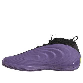 adidas Harden Vol. 10 Matte Purple JQ9426