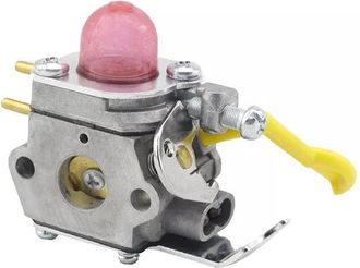 Generico Carburador Compatible Con Zana C1u W18 Ref 504293