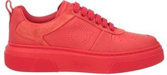 Ferragamo Sneakers