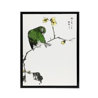 Artery8 Fairy Pitta & Japanese Allspice Framed Canvas Wall Art Print Kashu | Size: W24 x H32