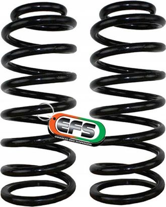 OEM Resorte Nis-120e