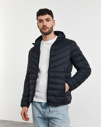 Jacamo Navy Lightweight Hooded Padded Jacket