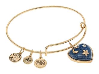 Alex and Ani Path of Symbols Heart Womens Bracelet Womens Bracelet Antique Gold