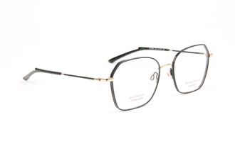 Ana Hickmann Optical Frame HI1246T 09A 54 Titanium
