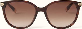 Furla Sunglasses Havana Brown Acetate Woman