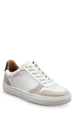 Allen Edmonds Floyd Sneaker in White at Nordstrom Rack, Size 10.5