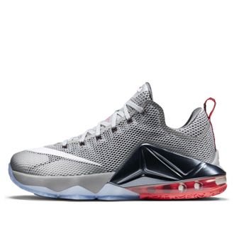 Nike LeBron 12 Low Wolf Grey 724557-014