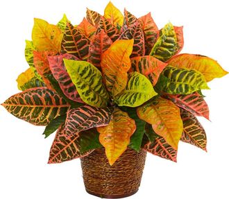 Nearly Natural 17-in Garden Croton Artificial Plant in Basket in Orange at Nordstrom