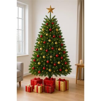 Clifton Premier Nordman Fir Xmas Tree - Low Needle Drop - 2.0 - 2.5m (6.5 - 8 ft) in Green