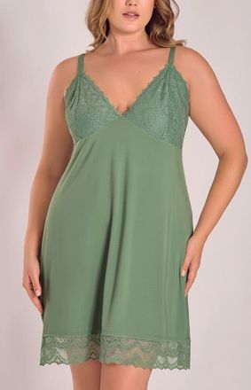 iCollection Modal Knit Chemise with Lace Cups in Green at Nordstrom, Size 1X