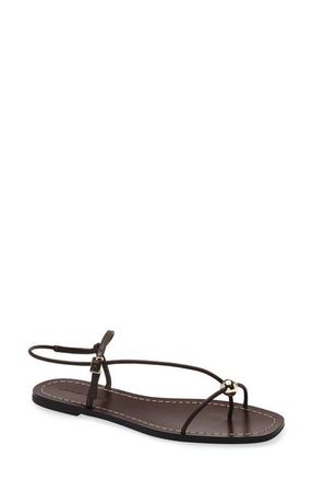 Loeffler Randall Lara Ankle Strap Sandal in Espresso at Nordstrom, Size 10.5