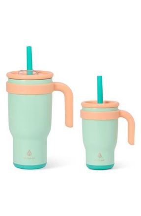 Manna 2-Pack Stainless Steel Tumblers in Green Multi at Nordstrom Rack