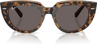 Ray-Ban Sunglasses Rb2286 1292 B1 Doreen Havana/Grey Women