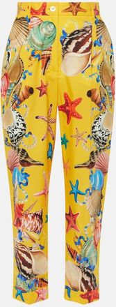 Dolce & Gabbana Capri printed high-rise cotton tapered pants