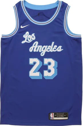 Nike NBA LeBron James Los Angeles Lakers 2020/21 Fan Edition Jersey 23 CN1027-404