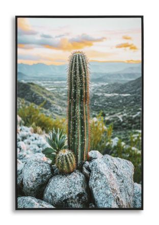 Mauro Ferretti L&aacute;mina Sobre Lienzo Lacado Con Marco Cactus -a- Cm 60x4x90