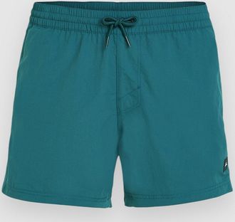 O'Neill Jack Vert Retro 14 Boardshorts blauw