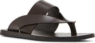 Steve Madden Cicero Flip Flop in Brown Leather at Nordstrom, Size 7