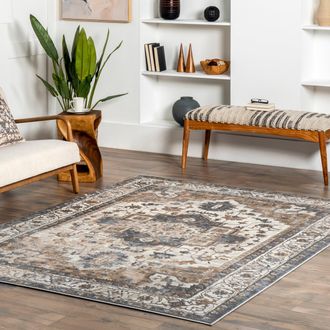 nuLOOM Sian Persian Vintage Medallion Area Rug