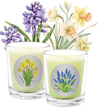 Qualitas Hand-Poured Candle Set - Daffodil Hyacinth