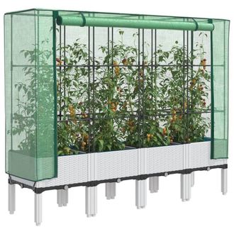 Berkfield Home Raised Bed with Greenhouse Cover Rattan Look 160x40x140 cm in White | Size: 160 x 40 x 140 cm