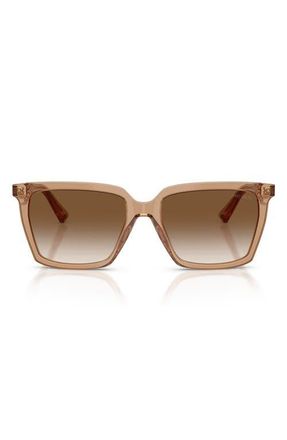 Jimmy Choo London 55mm Square Sunglasses in Transparent Tan /Brown at Nordstrom