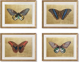 Frontgate Set of 4 New York Botanical Garden Butterfly Art - Print III - Frontgate