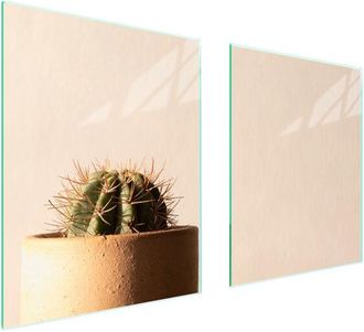 OEM Placa Protectora De Vidrio Para Estufa 85x52 Cactus