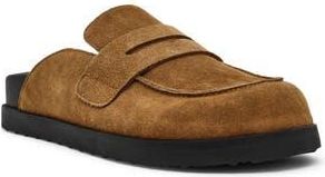 Steve Madden Toryn Loafer Mule in Chestnut Suede at Nordstrom Rack, Size 7.5