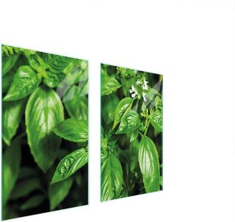 OEM Placa Protectora De Vidrio Para Estufa 75x52 Basil