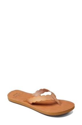 Reef Celine Scalloped Strap Flip-Flop Sandal in Natural at Nordstrom, Size 8