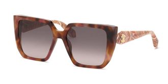 Roberto Cavalli SRC170M 01GQ Mens Sunglasses Tortoiseshell Size 56