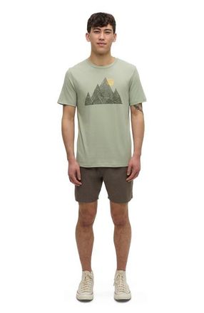 tentree Peak T-Shirt in Light Moss/deep Olive at Nordstrom, Size Xx-Large